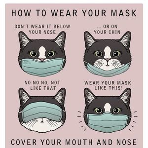 Meet your Posher, Cathleen